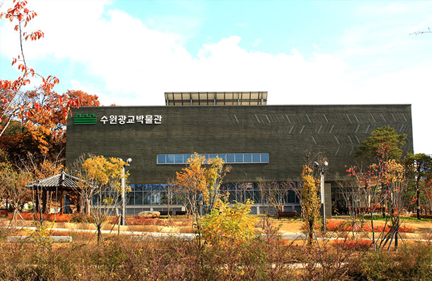 Exterior view of Suwon Gwanggyo Museum nestled among trees colored with autumn foliage