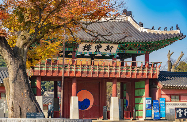 Front view of Sinpungru gate adorned with the taegeuk pattern, framed by autumn maple leaves