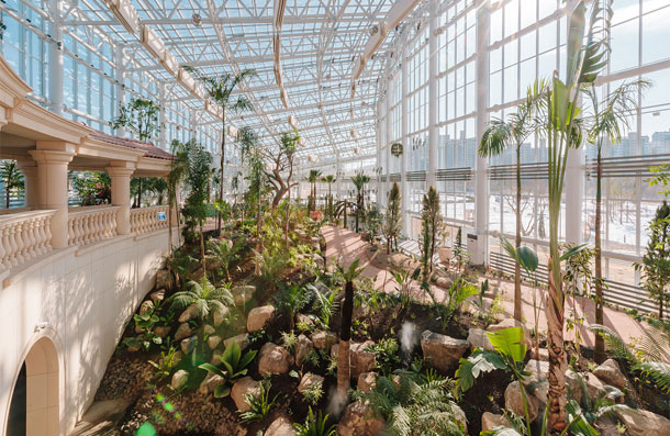 Interior view of the glass greenhouse filled with palm trees and tropical plants, resembling a jungle